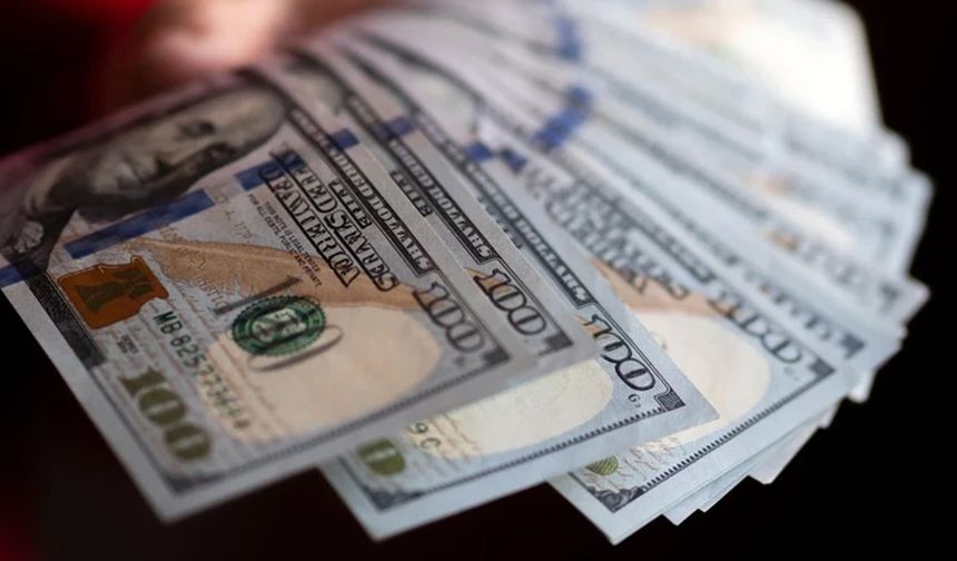 Döviz Kurlarından Yeni Tarihi Rekor: Dolar 50 TL Sınırında, Euro 55,87 Lirayı Gördü!