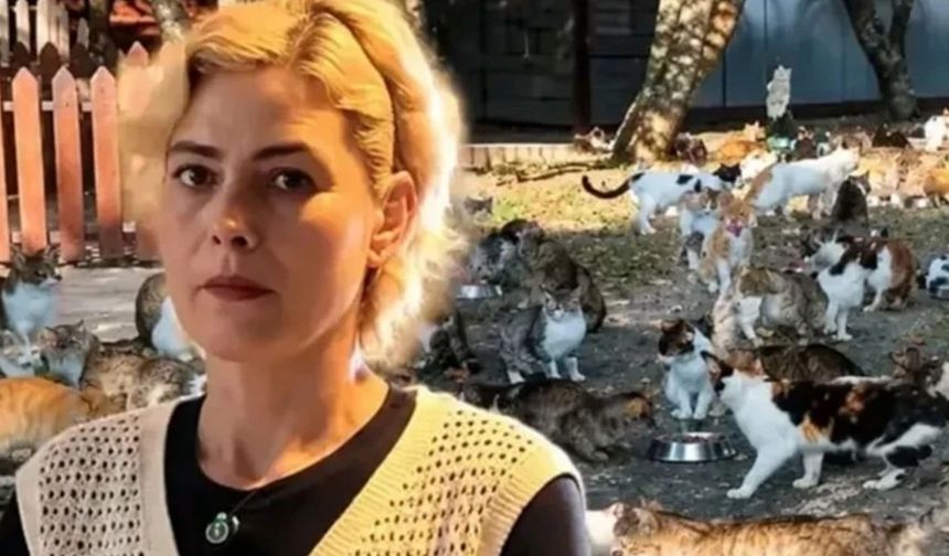 Kocaeli'de Fabrikada "Kedi Besleme" Tartışması Mahkemelik Oluyor: "Kedileri Beslediğim İçin İşten Çıkarıldım!"