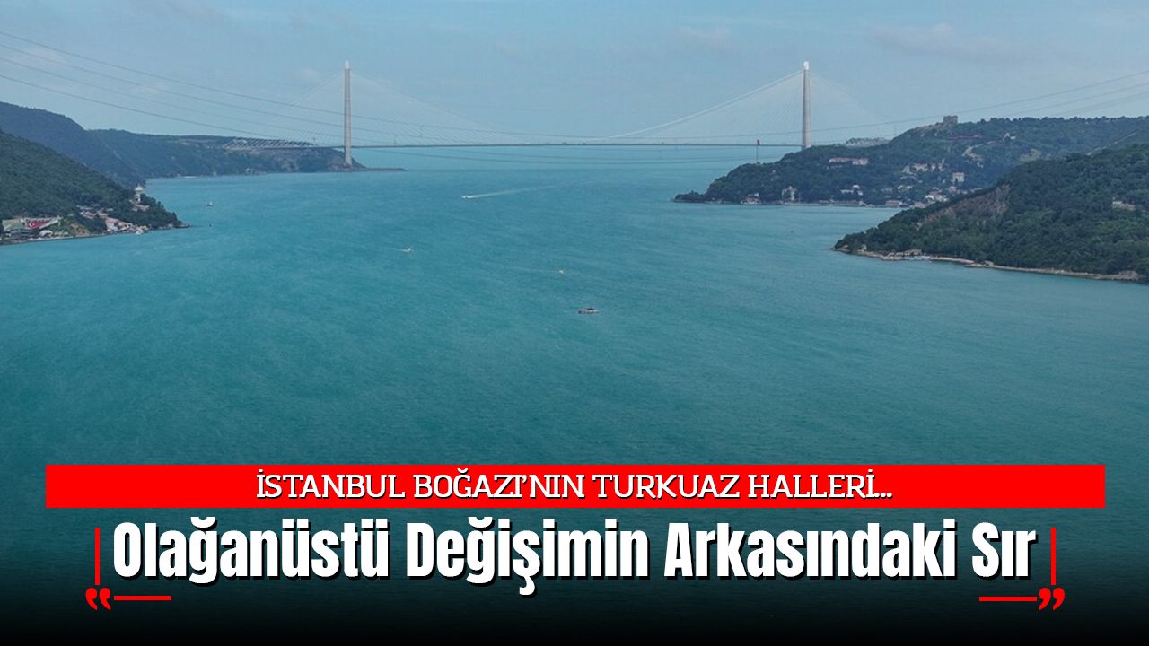 İstanbul Boğazı'nın Turkuaz Halleri...