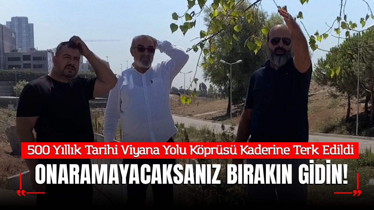 500 Yıllık Tarihi Viyana Yolu Köprüsü Kaderine Terk Edildi: "Onaramayacaksanız Bırakın Gidin!"